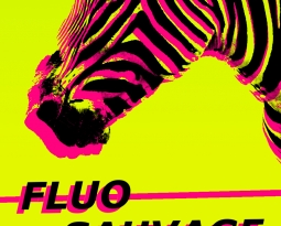 FLUO sauvage